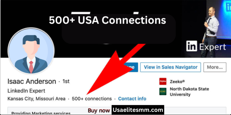 Buy USA Verified LinkedIn Accounts with 500 + Connections